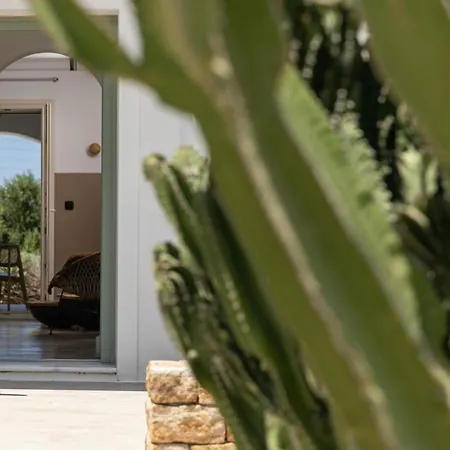 Appartamento Naxos Euphoria *