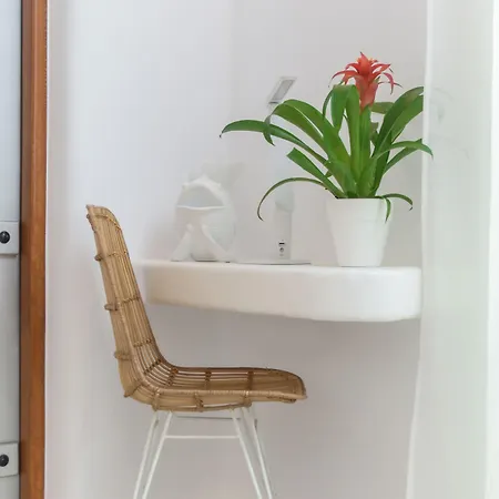 Naxos Euphoria סטלידה