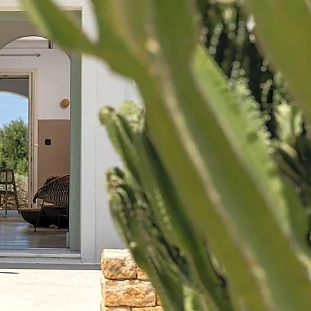 Lejlighed Naxos Euphoria