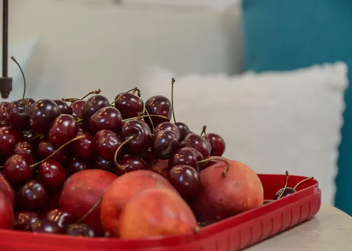 Naxos Euphoria * 스텔리다